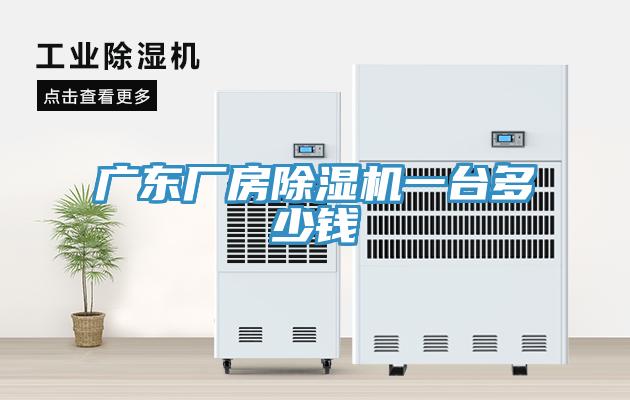 广东厂房猫咪成人官网一台多少钱