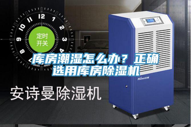 库房潮湿怎么办？正确选用库房猫咪成人官网