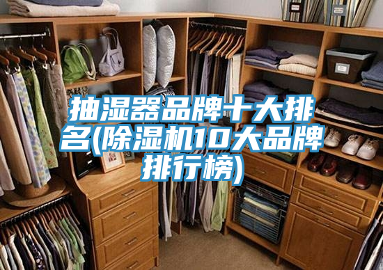 抽湿器品牌十大排名(猫咪成人官网10大品牌排行榜)