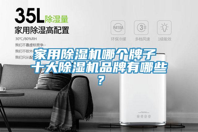 家用猫咪成人官网哪个牌子 十大猫咪成人官网品牌有哪些？