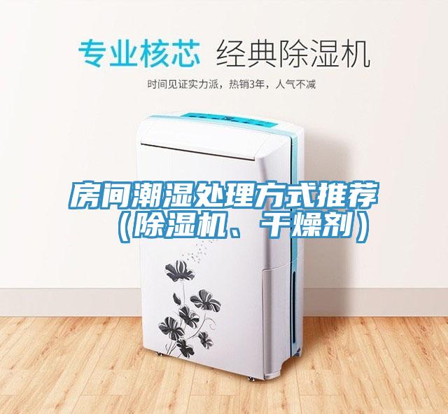 房间潮湿处理方式推荐（猫咪成人官网、干燥剂）