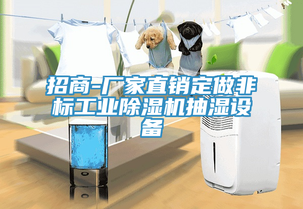 招商-厂家直销定做非标工业猫咪成人官网抽湿设备