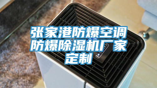 张家港防爆空调防爆猫咪成人官网厂家定制