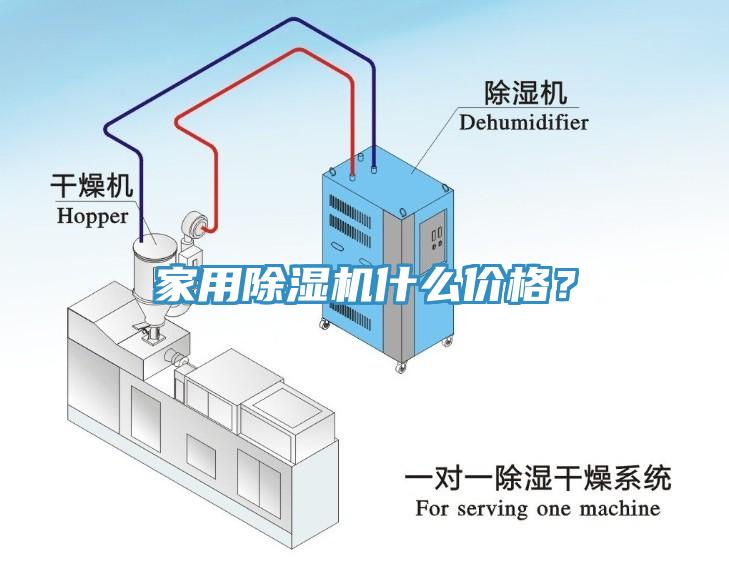 家用猫咪成人官网什么价格？