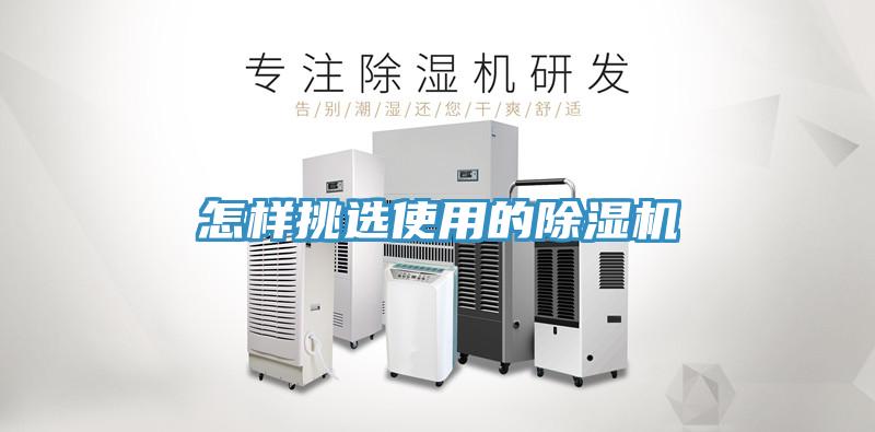 怎样挑选使用的猫咪成人官网