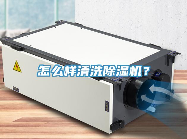 怎么样清洗猫咪成人官网？