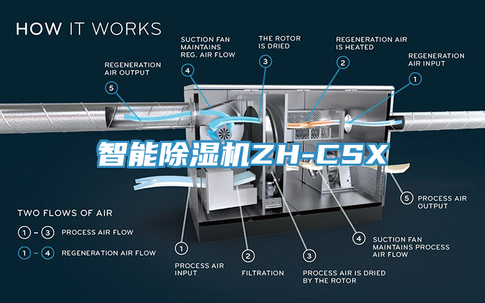 智能猫咪成人官网ZH-CSX