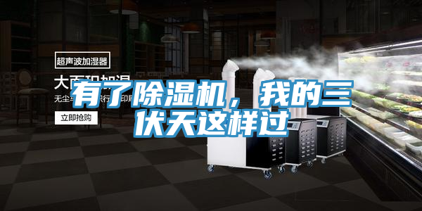 有了猫咪成人官网，我的三伏天这样过