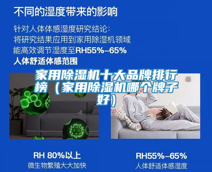 家用猫咪成人官网十大品牌排行榜（家用猫咪成人官网哪个牌子好）