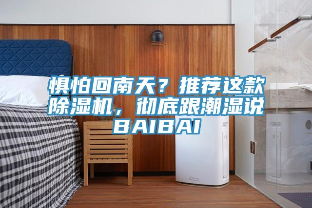 惧怕回南天？推荐这款猫咪成人官网，彻底跟潮湿说BAIBAI