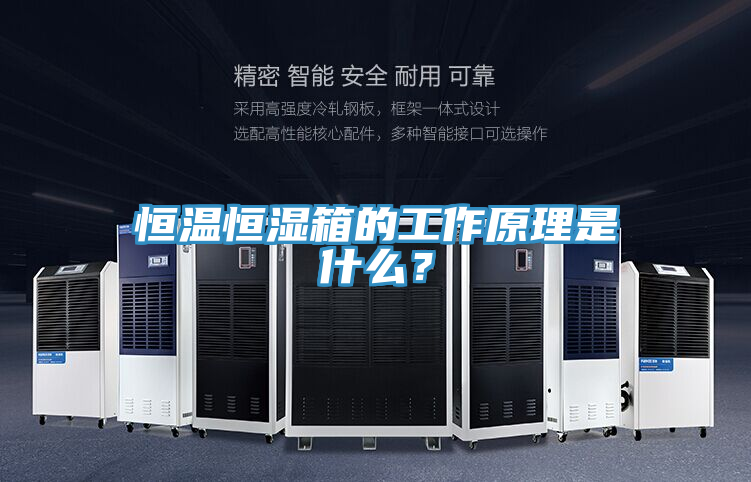 恒温恒湿箱的工作原理是什么？