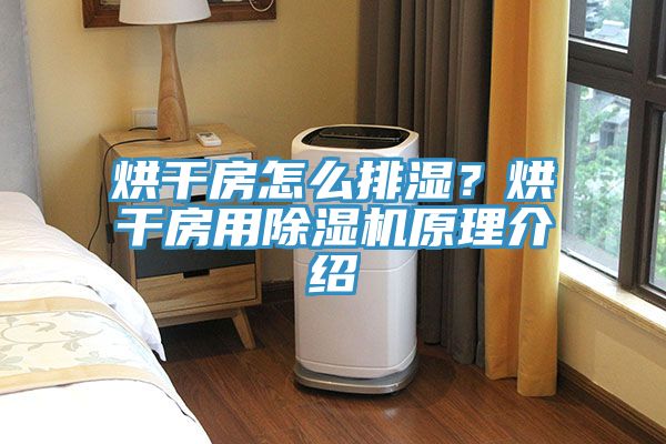烘干房怎么排湿？烘干房用猫咪成人官网原理介绍
