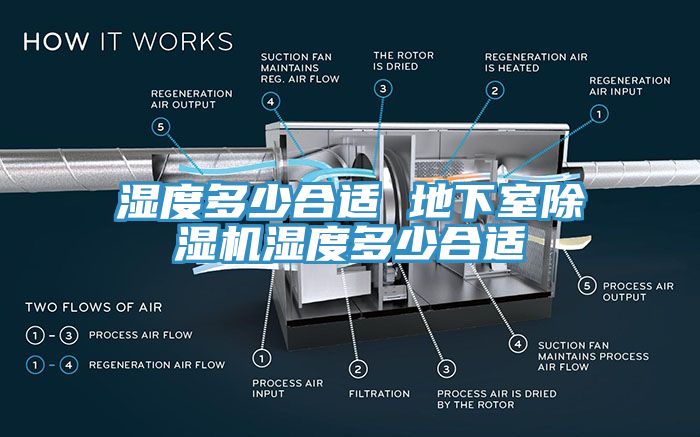 湿度多少合适 地下室猫咪成人官网湿度多少合适