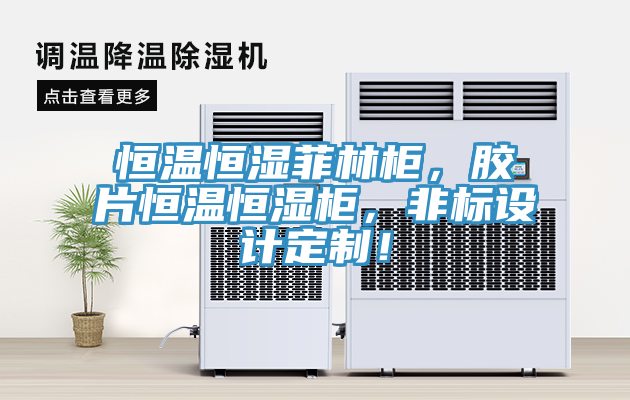 恒温恒湿菲林柜，胶片恒温恒湿柜，非标设计定制！