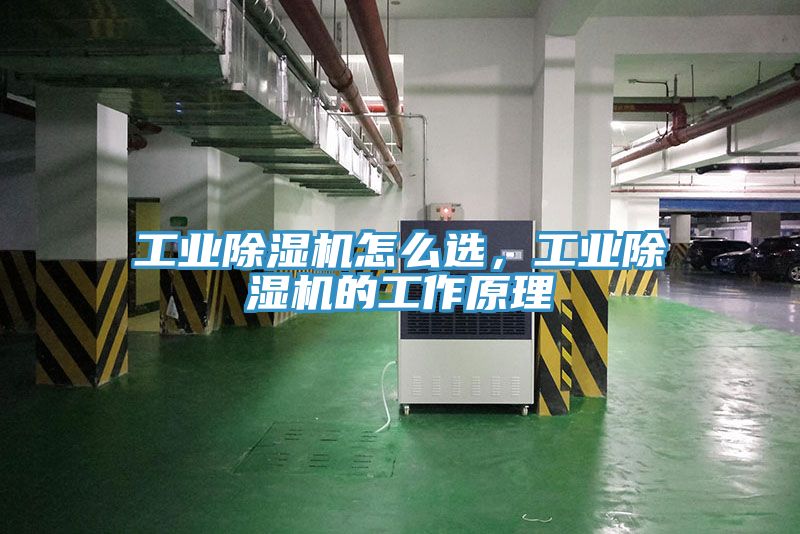工业猫咪成人官网怎么选，工业猫咪成人官网的工作原理
