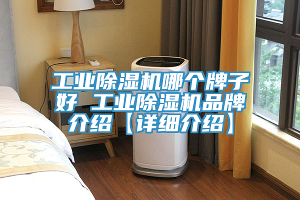 工业猫咪成人官网哪个牌子好 工业猫咪成人官网品牌介绍【详细介绍】