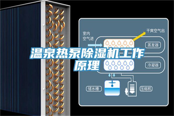 温泉热泵猫咪成人官网工作原理
