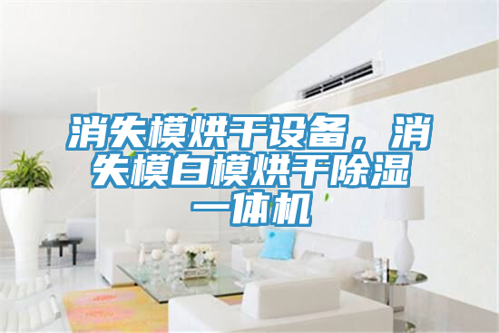 消失模烘干设备，消失模白模烘干除湿一体机