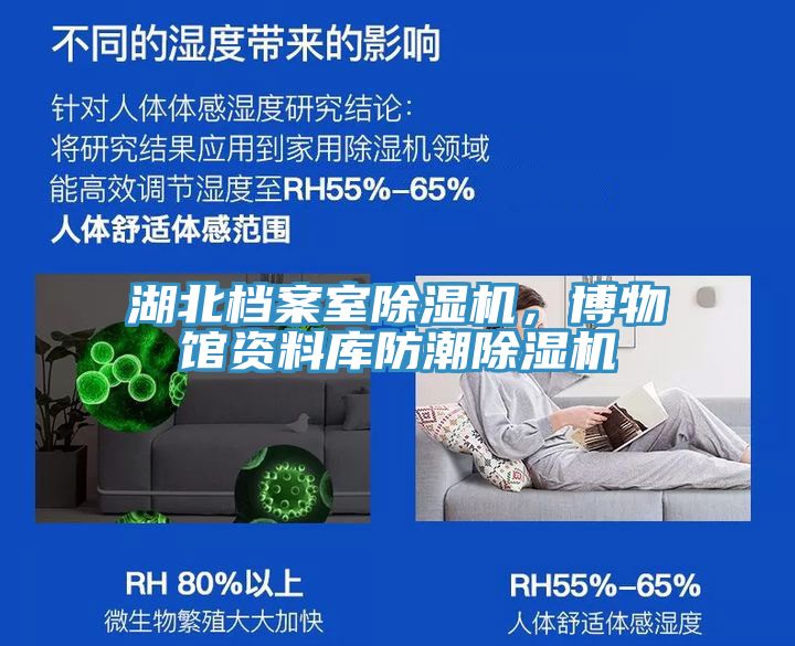 湖北档案室猫咪成人官网，博物馆资料库防潮猫咪成人官网