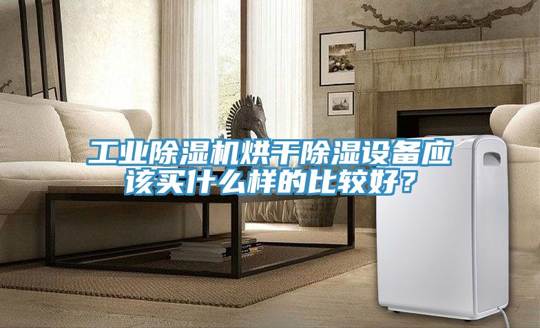 工业猫咪成人官网烘干除湿设备应该买什么样的比较好？