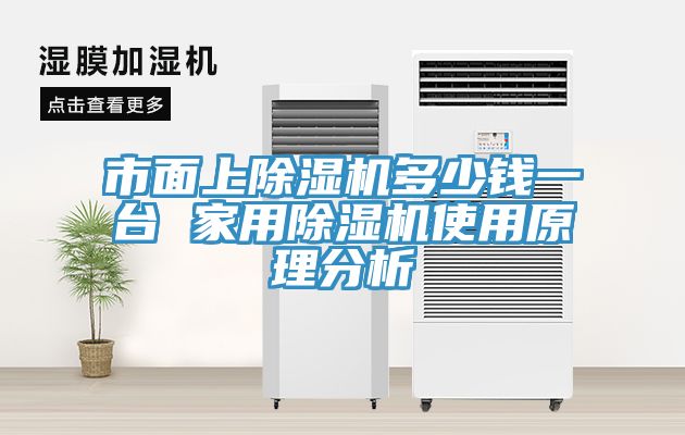市面上猫咪成人官网多少钱一台 家用猫咪成人官网使用原理分析