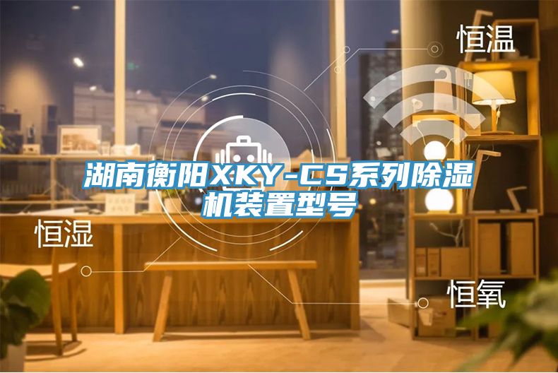 湖南衡阳XKY-CS系列猫咪成人官网装置型号