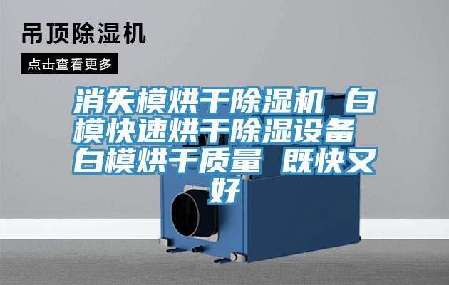 消失模烘干猫咪成人官网 白模快速烘干除湿设备 白模烘干质量 既快又好