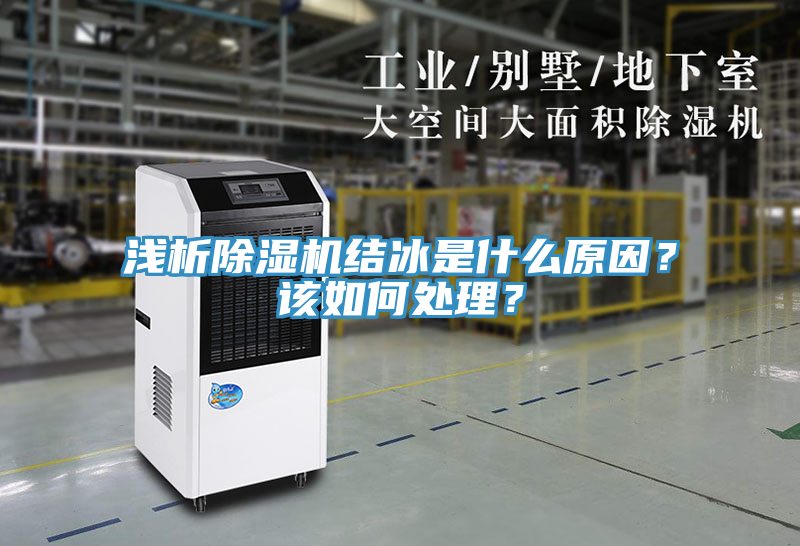 浅析猫咪成人官网结冰是什么原因？该如何处理？