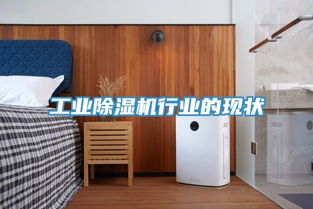 工业猫咪成人官网行业的现状