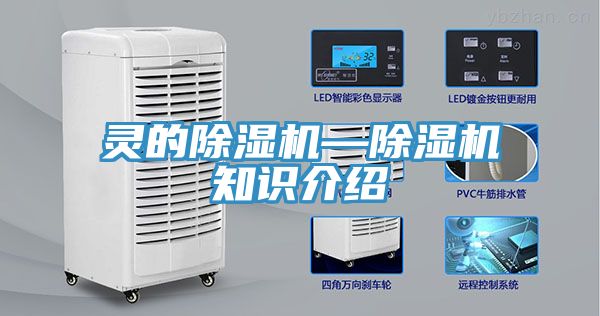 灵的猫咪成人官网—猫咪成人官网知识介绍