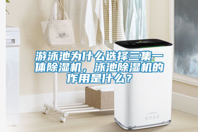 游泳池为什么选择三集一体猫咪成人官网，泳池猫咪成人官网的作用是什么？