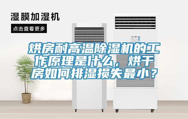 烘房耐高温猫咪成人官网的工作原理是什么，烘干房如何排湿损失最小？