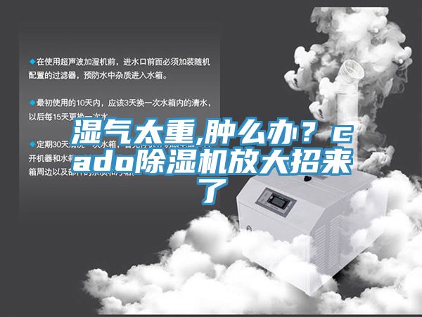 湿气太重,肿么办？cado猫咪成人官网放大招来了
