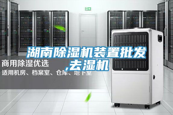 湖南猫咪成人官网装置批发,去湿机