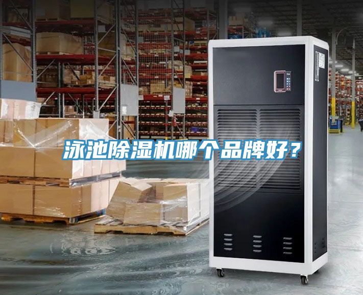 泳池猫咪成人官网哪个品牌好？