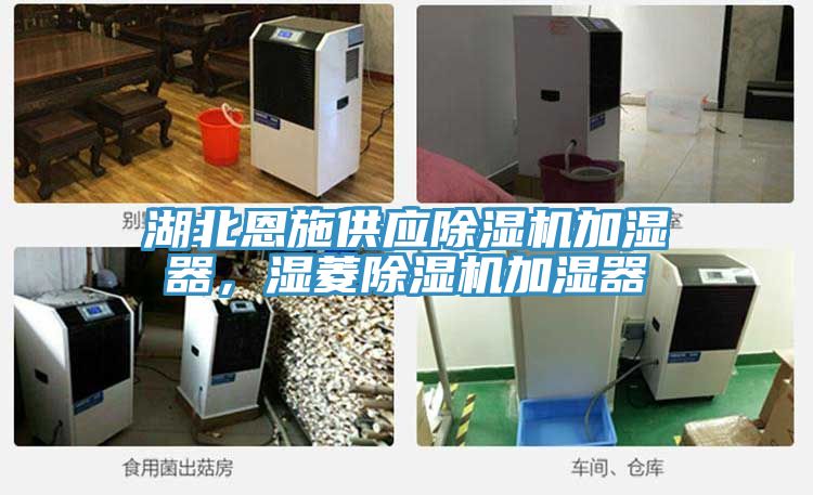湖北恩施供应猫咪成人官网加湿器，湿菱猫咪成人官网加湿器