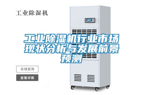 工业猫咪成人官网行业市场现状分析与发展前景预测