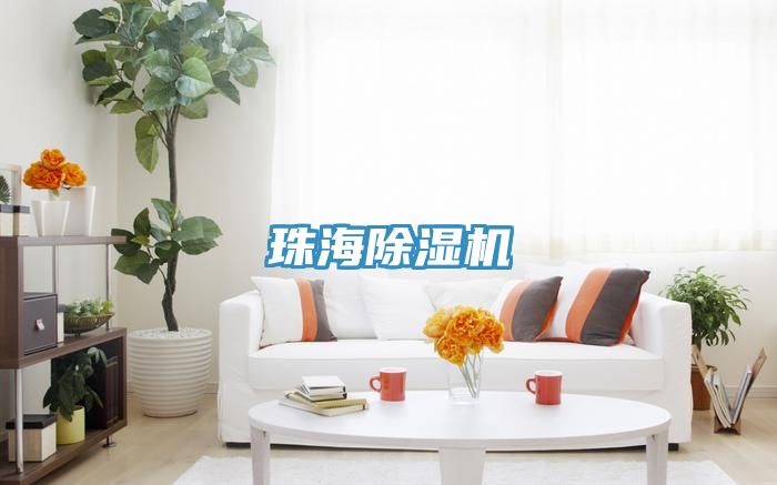 珠海猫咪成人官网