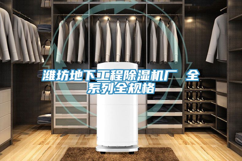 潍坊地下工程猫咪成人官网厂 全系列全规格