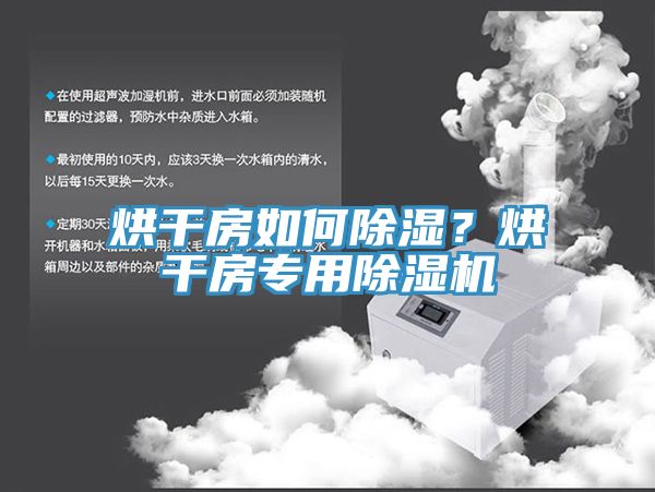 烘干房如何除湿？烘干房专用猫咪成人官网