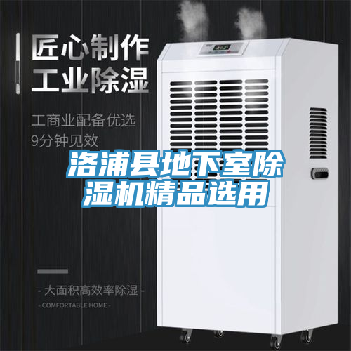 洛浦县地下室猫咪成人官网精品选用