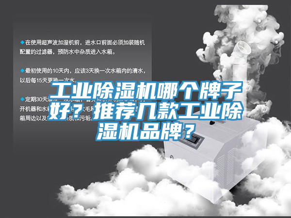工业猫咪成人官网哪个牌子好？推荐几款工业猫咪成人官网品牌？