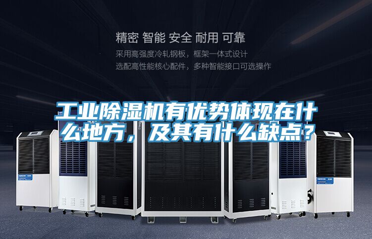 工业猫咪成人官网有优势体现在什么地方，及其有什么缺点？