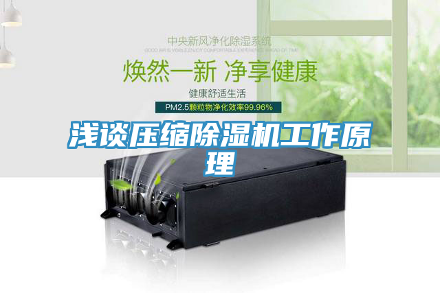 浅谈压缩猫咪成人官网工作原理