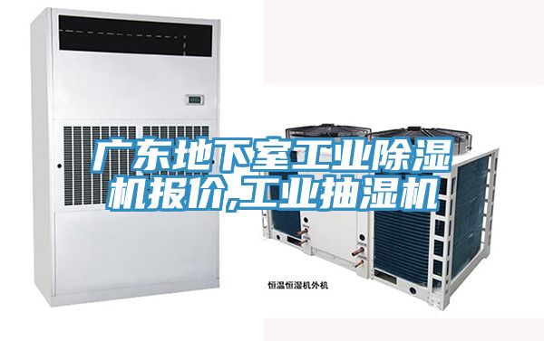 广东地下室工业猫咪成人官网报价,工业抽湿机