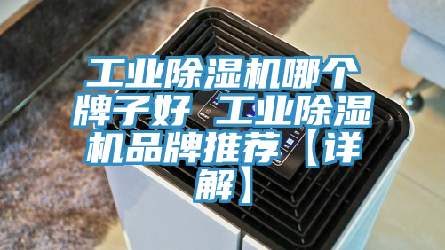 工业猫咪成人官网哪个牌子好 工业猫咪成人官网品牌推荐【详解】