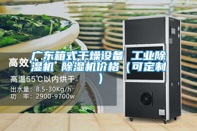 广东箱式干燥设备 工业猫咪成人官网 猫咪成人官网价格（可定制）