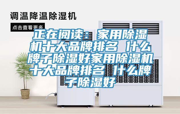 正在阅读：家用猫咪成人官网十大品牌排名 什么牌子除湿好家用猫咪成人官网十大品牌排名 什么牌子除湿好