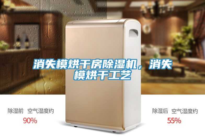 消失模烘干房猫咪成人官网，消失模烘干工艺