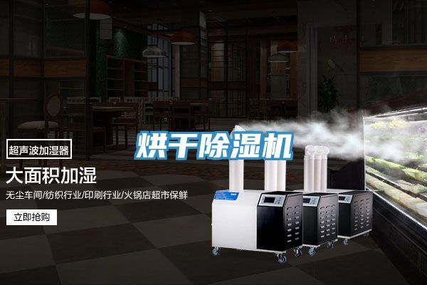 烘干猫咪成人官网